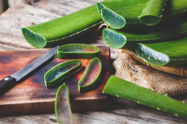 Ingredient Highlight: Aloe Vera
