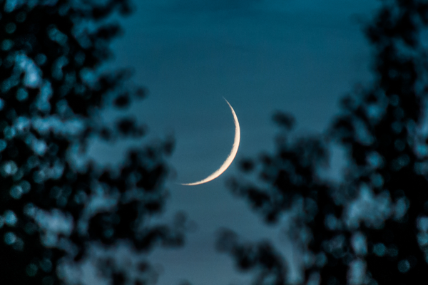 New Moon, New You: Self Healing Ritual