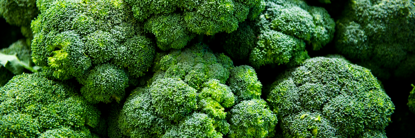 an up close image of broccoli, the source of superfood skincare ingredient broccoli seed oil, found in graydon skincare's phyto clear moisturizer and matcha mint hair smoothie