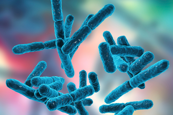 How Probiotics Improve the Health of Your Skin