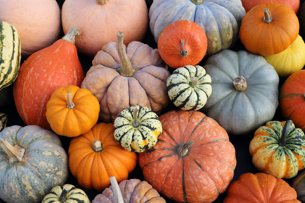 Celebrate Pumpkin: The Fall Superfood with Year-Round Beauty Benefits