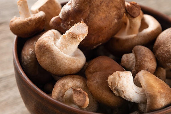 Ingredient Highlight: Shiitake Mushroom
