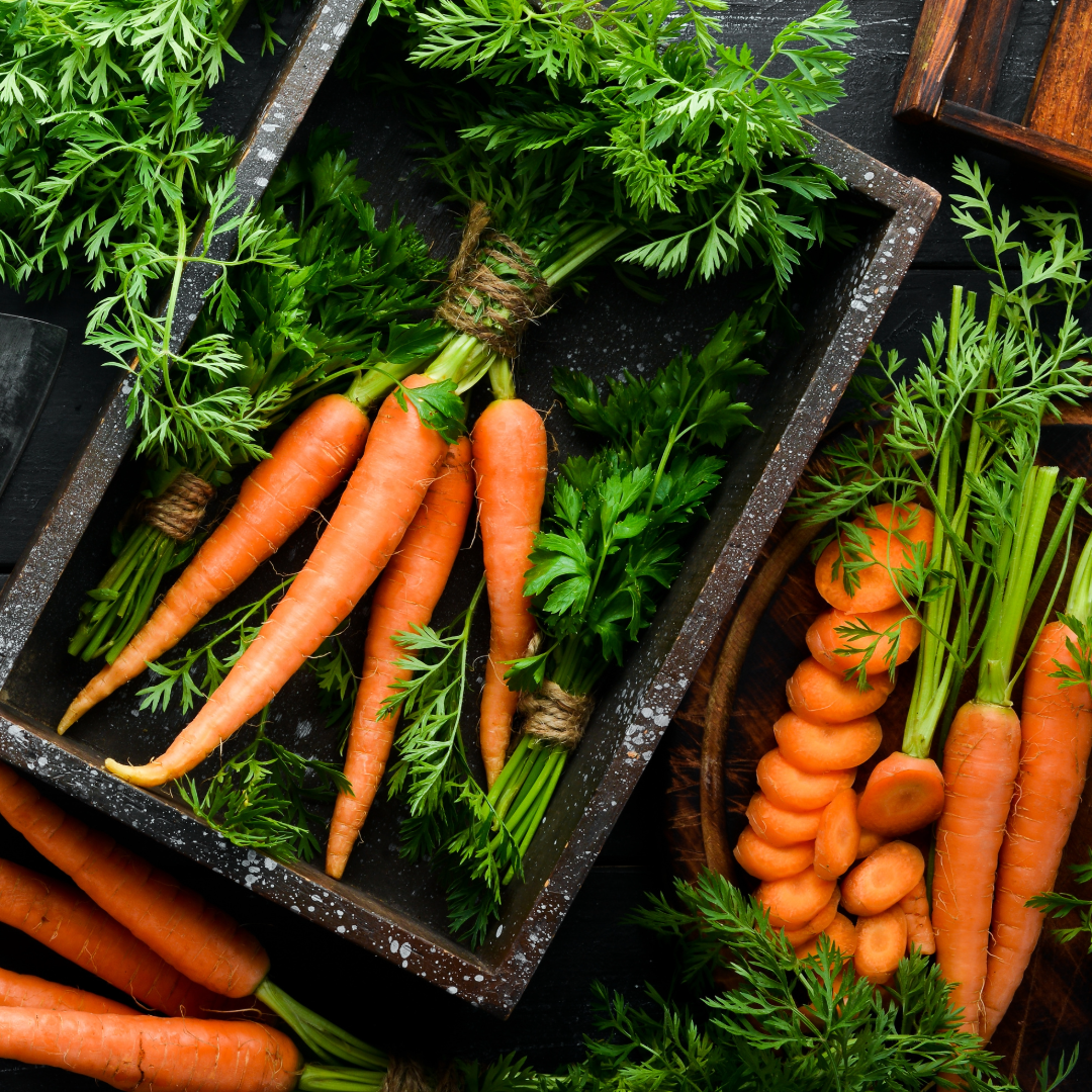 Carrot Seed Oil