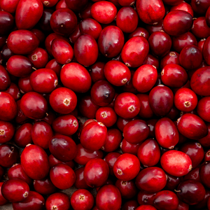 Cranberry Seed Oil